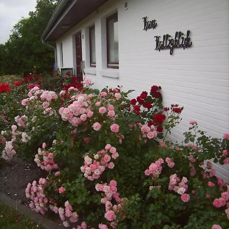 Haus-halligblick-ferienwohnung-hamburger-hallig דירה *