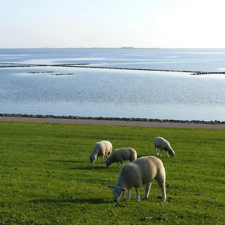 Haus-halligblick-ferienwohnung-hamburger-hallig *
