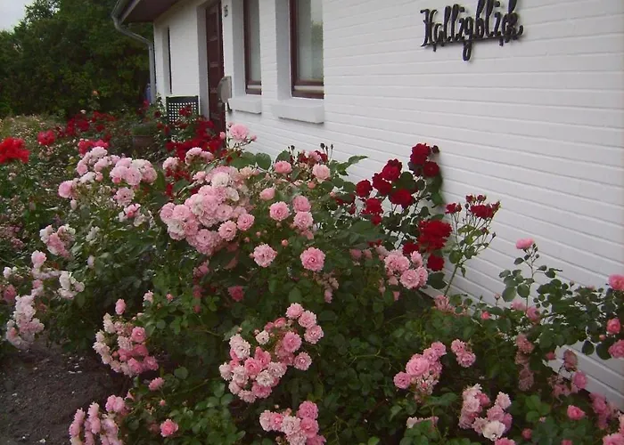 Haus-halligblick-ferienwohnung-hamburger-hallig Appartement *