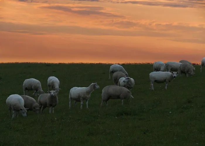 Appartement Haus-halligblick-ferienwohnung-hamburger-hallig Dagebüll