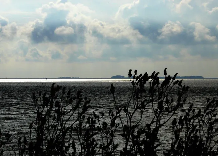 Haus-halligblick-ferienwohnung-hamburger-hallig Appartement *