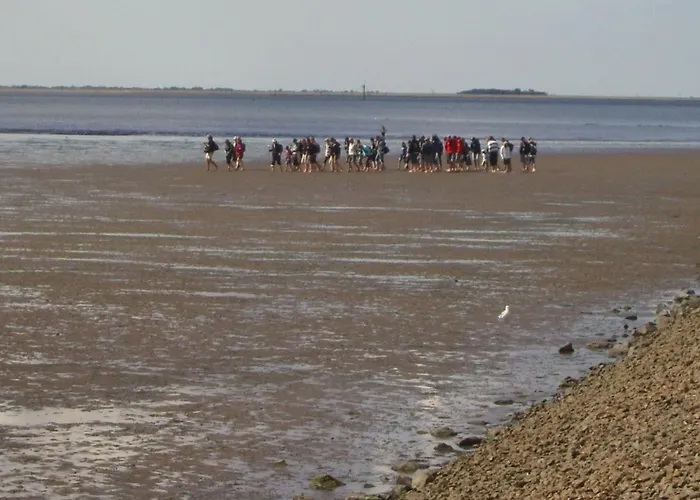 Appartement Haus-halligblick-ferienwohnung-hamburger-hallig