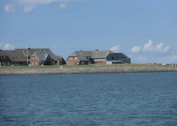 Haus-halligblick-ferienwohnung-hamburger-hallig Appartement Dagebüll